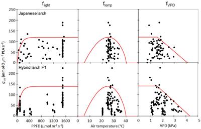 Developing Ozone Risk Assessment for Larch Species